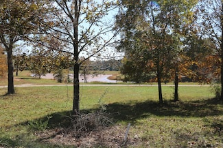 000 Wild Turkey Trail Unit Block 1 Lot 1, West Plains, MO 65775