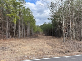 0 Saint John's Rd, Braxton, MS 39044