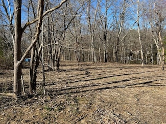 0 River Forge Rd, Manchester, TN 37355