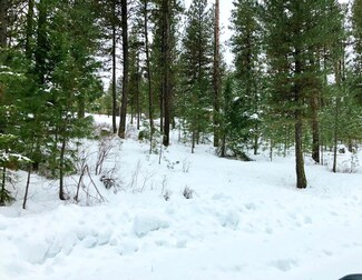 B6,L24 Hot Springs Rd Unit 24, New Meadows, ID 83654
