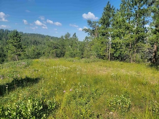 TBD Last Chance Trail, Lead, SD 57754