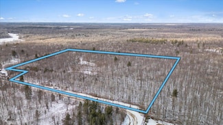 0 W Miller Rd Unit 25003688, Shepherd, MI 48883