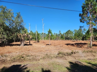 0 Booth and Lett Unit 1020127, Malabar, FL 32950
