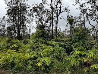 0 Kaleponi Dr Unit 721767, Volcano, HI 96785