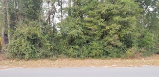 00000 N Lemacks St, Walterboro, SC 29488