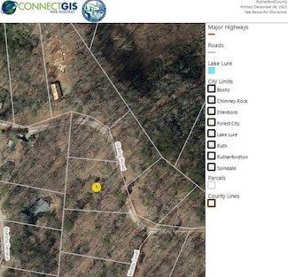 0 Starling Rd Unit 206 CAR3928172, Lake Lure, NC 28746