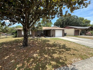 11402 Buchanan Ln, Seffner, FL 33584