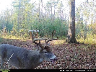 0 Seven Islands Rd Unit 25188511, Madison, GA 30650