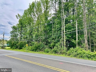 85 Carter Rd, Princeton, NJ 08540