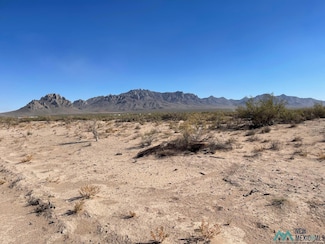 XXXX San Joaquin Rd SE, Deming, NM 88030