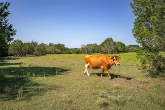 9999 Brizendine Rd, Liberty Hill, TX 78642