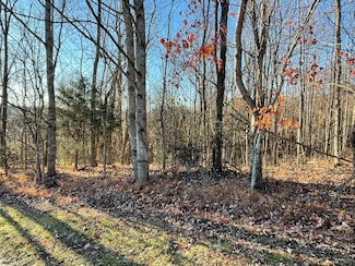 0 Strawberry Hill Ct, Vinton, VA 24179