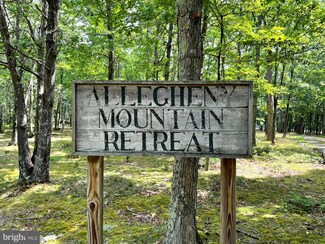 230 Polar Bear Rd, Canaan Heights, WV 26260