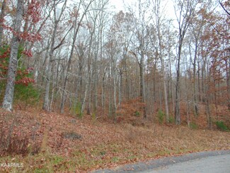 10.56ac County Road 179, Decatur, TN 37322