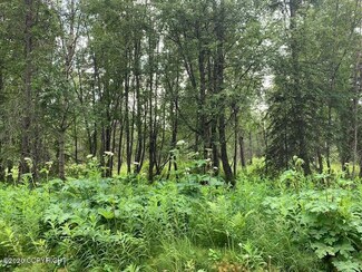L9 B6 Mark Blvd, Nikiski, AK 99611