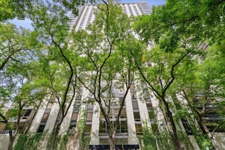 100 E Bellevue Place Unit 25C, Chicago, IL 60611