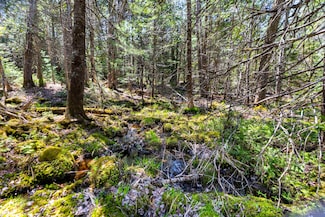Lot 38 Arrowhead Rd, Bar Harbor, ME 04609
