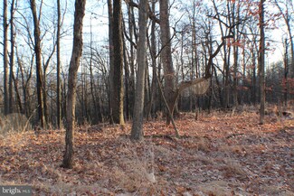 20 ACS High Knob Rd, Old Fields, WV 26845