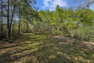 15245 Shady Oaks Dr, Stagecoach, TX 77355
