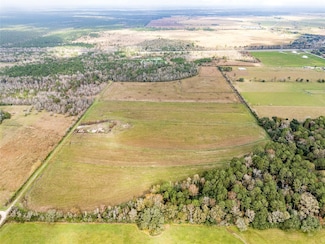 TBD Farm To Market 1009, Nome, TX 77629