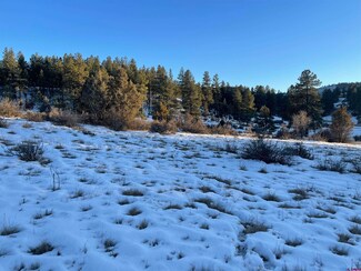 175 Stollsteimer Ln, Pagosa Springs, CO 81147