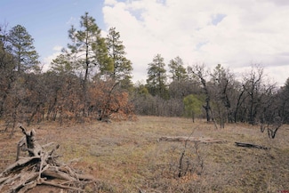 2612 Bull Elk Place, Pagosa Springs, CO 81147