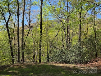 Lot 64 &  65 Walnut Ln, Lake Lure, NC 28746