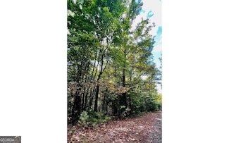 LOT 3 Wild Turkey Rd, Young Harris, GA 30582