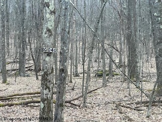 Lot 40 Bobolink Dr, Terra Alta, WV 26764