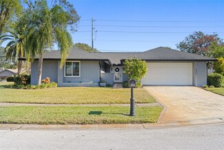 10039 Linden Place Dr, Seminole, FL 33776