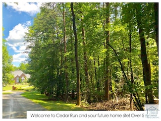 00 Cedar Run, Chatmoss, VA 24112