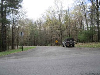 LOT 6 Hanna Ln, Olive, NY 12461