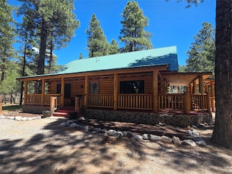 93 1754 Dr, Chama, NM 87520