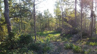 00 Three Churches Rd, Waynesboro, TN 38485