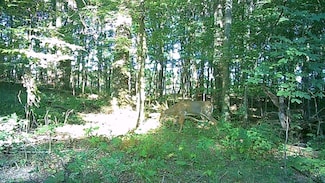 S Manning Lake Rd, Battle Creek, MI 49017