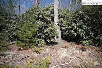 3 Dream Forest Path, Beech Mountain, NC 28604