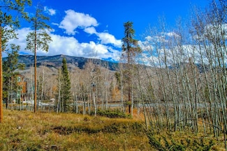 1650 Falcon Cir, Silverthorne, CO 80498