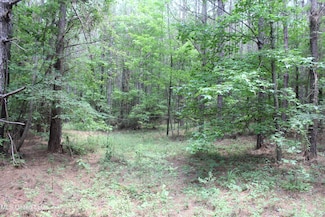 0 Mississippi 550, Brookhaven, MS 39601