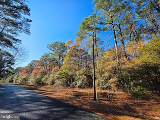 0 Roland Parks Rd Unit MDSO2006658, Chance, MD 21821