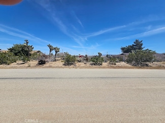 0 Goleta Ave Unit SR25009656, Yucca Valley, CA 92284