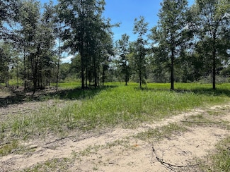 0 Newman Rd Unit 22348691, Mobile, AL 36695