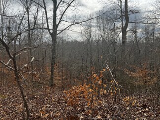 610 Bumpus Mills Rd, Dover, TN 37058