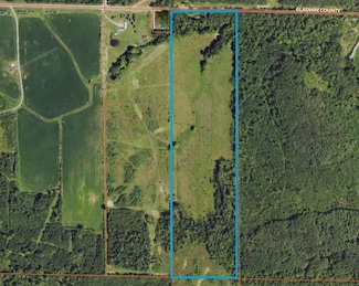 624 E Mckimmey Rd, Gladwin, MI 48624