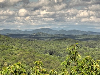 0 Menagerie Ridge, Epworth, GA 30541