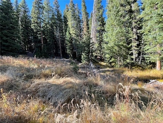11 Kimmes Ln, Breckenridge, CO 80424