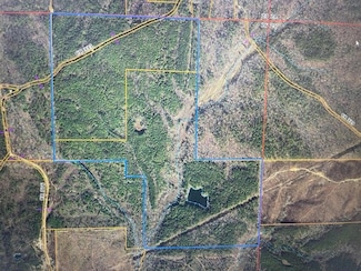 0 Cr 335 Tract 9 Dr Unit 10199123, Rienzi, MS 38865