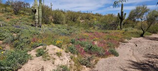 47305 Quiet Hills Dr, Morristown, AZ 85342