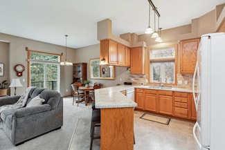 13135 Gamma Way, Saint Paul, MN 55124