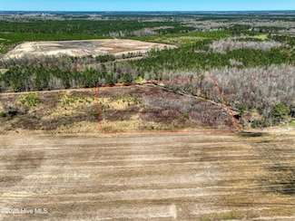 4.26 Ac N Carolina 50, Rose Hill, NC 28458