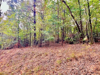 573 Cataula Ct, Ellijay, GA 30540
